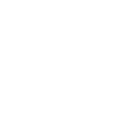 Metricson
