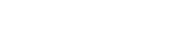 SNGULAR